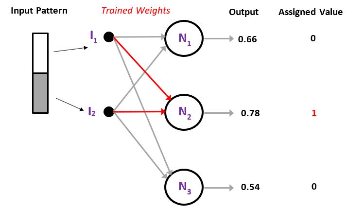 Functioning of the competitive network